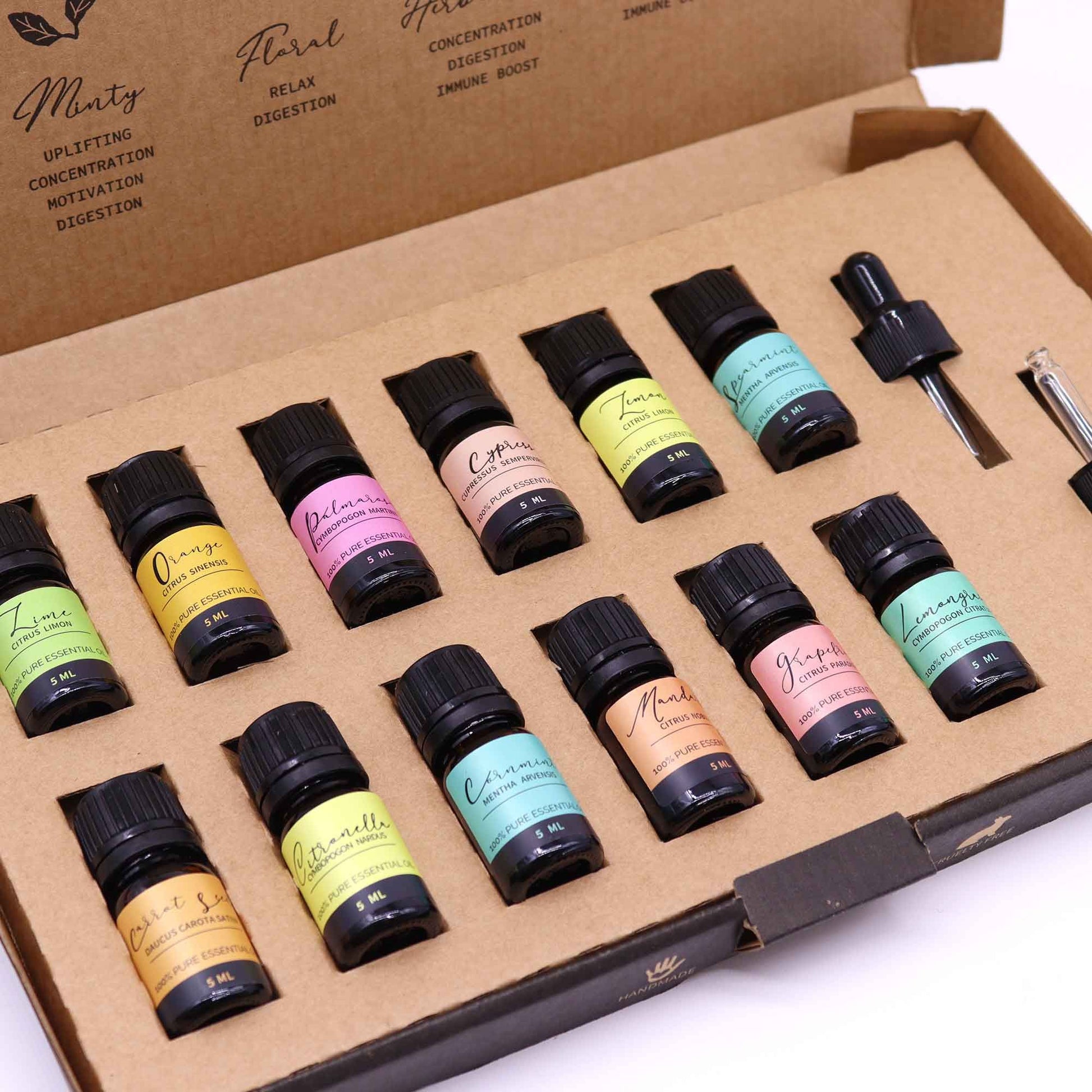 Aromatherapy Essential Oil Set - Summer with 12 x 5ml bottles and 2 droppers in a gift box