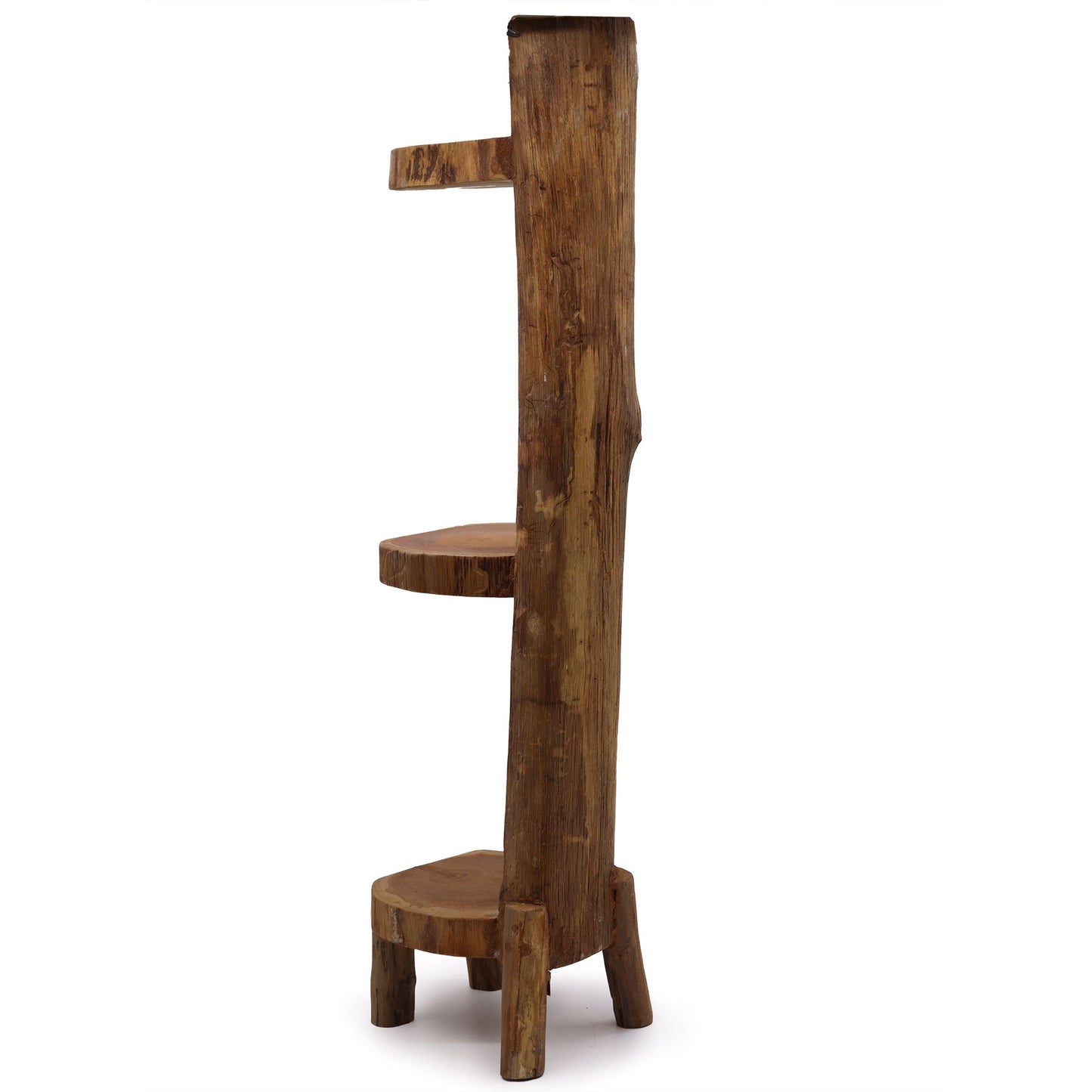 Natural teak log shelf display with 3 shelves, 100 cm high