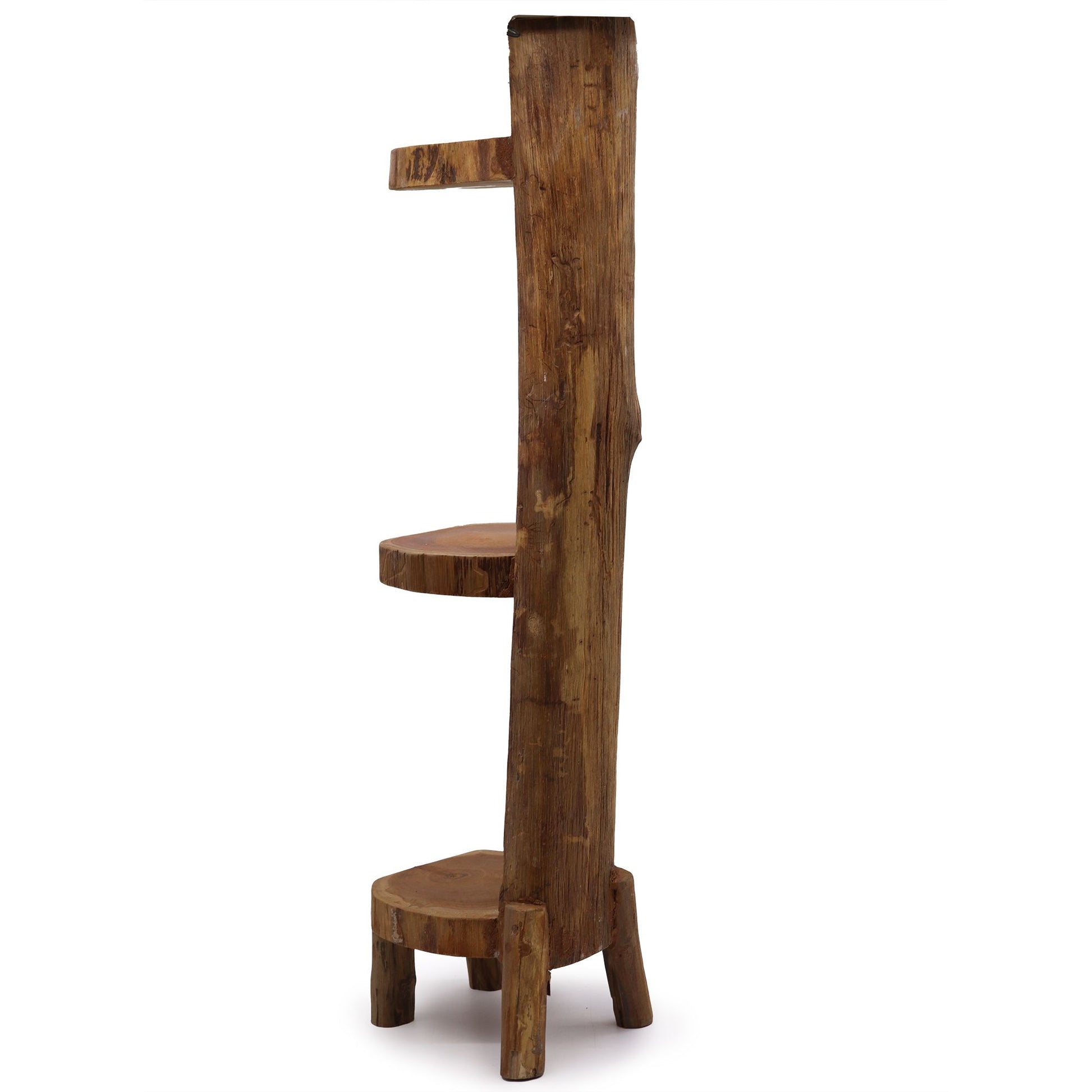 Natural teak log shelf display with 3 shelves, 100 cm high