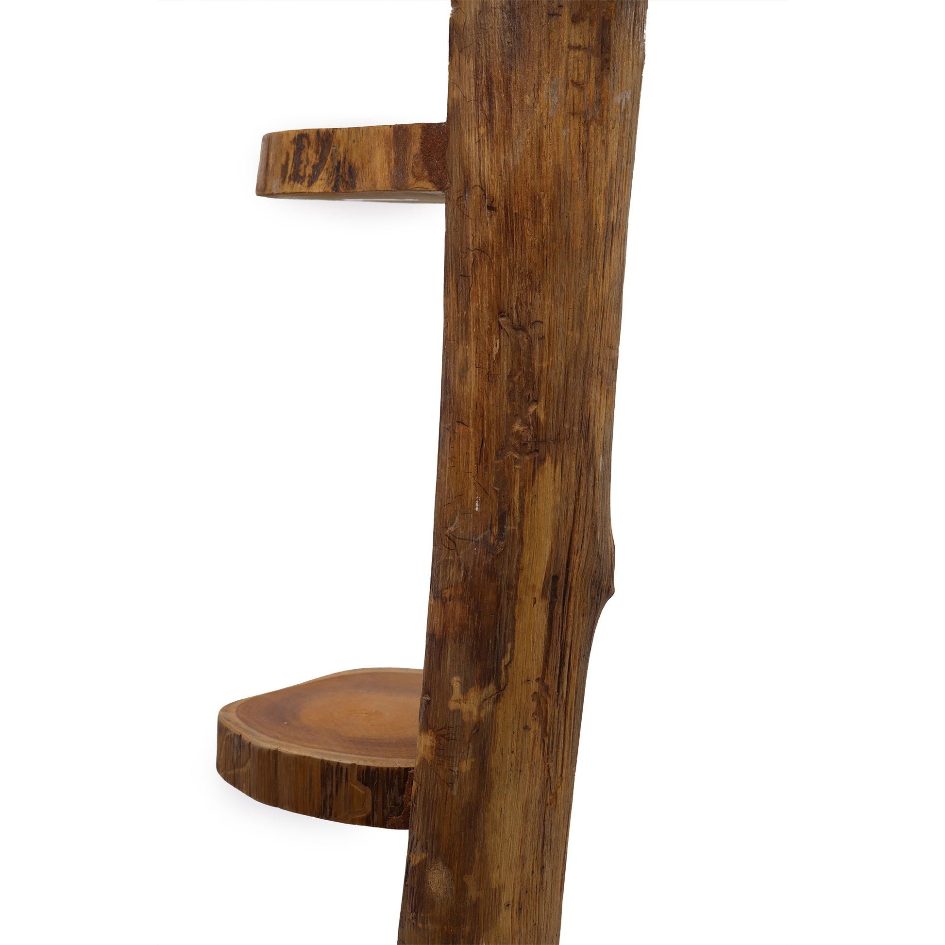 Natural teak log shelf display with 3 shelves, 100 cm high